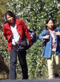 成人免费观看www视频